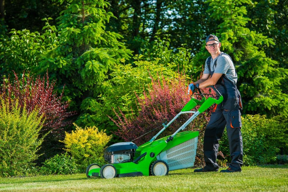 Lawn Care Service